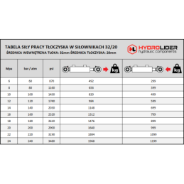 Dvigubo veikimo hidraulinio cilindro ilgis: 286 mm, eiga: 100 mm, CJ2F-32/20/100 U20S