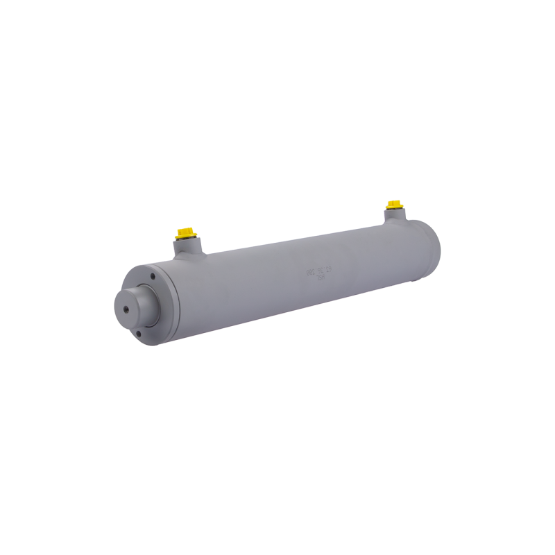 Dvigubo veikimo hidraulinio cilindro ilgis: 460 mm, eiga: 300 mm, 63/36/300 be auselių.