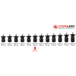 Labai galingas hidraulinis variklis BMRY 100 14,8 kW 600 aps./min. su padidintu sukimo momentu iki 220 Nm