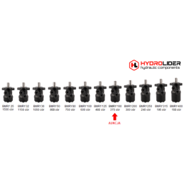 Labai galingas hidraulinis variklis BMRY 160 14,8 kW 375 aps./min. su padidintu sukimo momentu iki 370 Nm