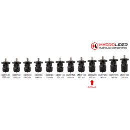 Labai galingas hidraulinis variklis BMRY 200 14kW 300 aps./min. su padidintu sukimo momentu iki 450 Nm