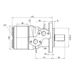Labai galingas hidraulinis variklis BMRY 200 14kW 300 aps./min. su padidintu sukimo momentu iki 450 Nm