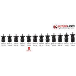 Labai galingas hidraulinis variklis BMRY 80 14,9 kW 750 aps./min. su padidintu sukimo momentu iki 180 Nm