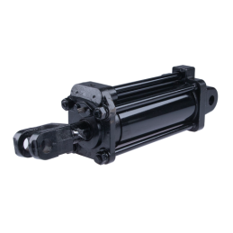 Dvigubo veikimo hidraulinis cilindras MTZ Belarus C-100 Hydrolider keltuvui