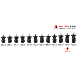 Labai galingas hidraulinis variklis BMRY 315 9,6 kW 195 aps./min. su padidintu sukimo momentu iki 470 Nm