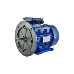 400 V B35 1,1 kW G80 2770 aps./min. W19 K200 variklis