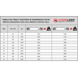 Dvigubo veikimo hidraulinio cilindro ilgis: 582 mm, eiga: 300 mm, CJ2F-63/36/300 U35W