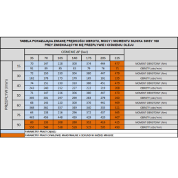 Labai galingas SMSY 160 hidraulinis variklis 18 kW 465 aps./min. su padidintu sukimo momentu iki 451 Nm