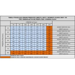 Labai galingas SMSY 100 hidraulinis variklis 18 kW 745 aps./min. su padidintu sukimo momentu iki 282 Nm