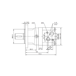 Labai galingas SMSY 100 hidraulinis variklis 18 kW 745 aps./min. su padidintu sukimo momentu iki 282 Nm