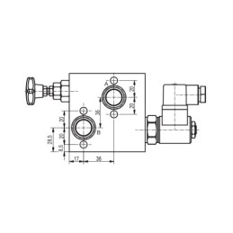 Hidraulinis vožtuvas BVR 1203B 1/2" 12V variklio greičio reguliatorius abiem kryptimis, komplektuojamas su elektros kištuku 12V 