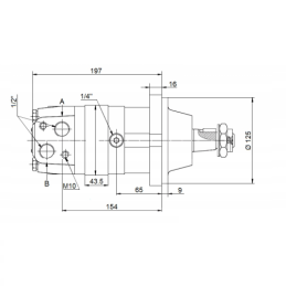 SMS hidraulinis variklis, darbinis tūris: 250 cm3/aps., greitis: 310 aps./min., su varomųjų ašių guoliais