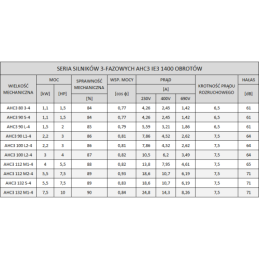 Trifazis 400 V IE3 elektros variklis, tipas B35 G100L, galia: 3 kW, apsukos: 1450 aps./min., velenas: 28 mm, su flanšu skambučio