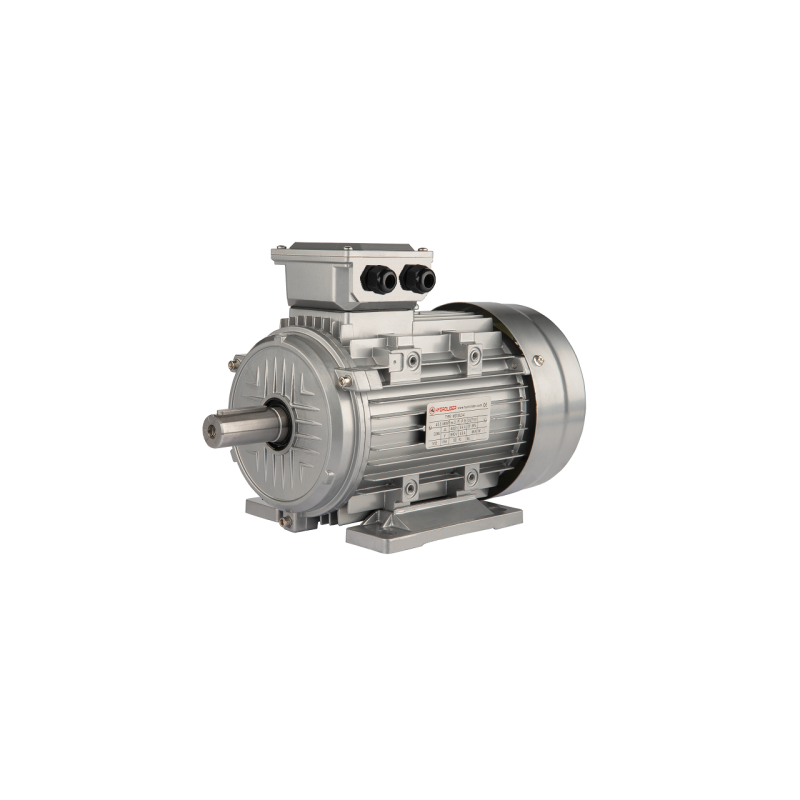 Trifazis 400 V elektros variklis, B3 tipo, galia: 5,5 kW, apsukos: 1440 aps./min.