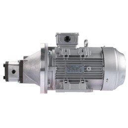 Dešinės pusės krumpliaratis hidraulinis siurblys 6L + 3 fazių elektros variklis IE3 400V 1.1kW 10MPa