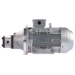 Dešinės pusės krumpliaratis hidraulinis siurblys 9L + 3 fazių elektros variklis IE3 400V 1,5kW 9MPa