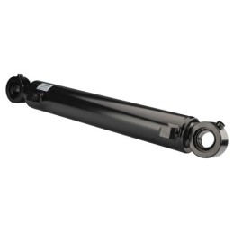 Dvigubo veikimo cilindras, l:880 u50, pagrindinės krano strėlės eiga 565 mm