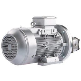 Dešinės pusės krumpliaratis hidraulinis siurblys 6L + 3 fazių elektros variklis IE3 400V 1,5kW 14MPa