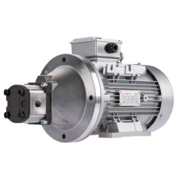 Dešinės pusės krumpliaratis hidraulinis siurblys 9L + 3 fazių elektros variklis IE3 400V 2.2kW 14MPa