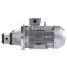 Dešinės pusės krumpliaratis hidraulinis siurblys 9L + 3 fazių elektros variklis IE3 400V 2.2kW 14MPa