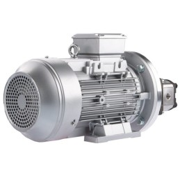 Dešinės pusės krumpliaratis hidraulinis siurblys 12L + 3 fazių elektros variklis IE3 400V 2.2kW 10MPa