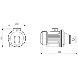 Dešinės pusės krumpliaratis hidraulinis siurblys 18L + 3 fazių elektros variklis IE3 400V 3kW 9MPa