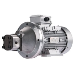 Dešinės pusės krumpliaratis hidraulinis siurblys 12L + 3 fazių elektros variklis IE3 400V 3kW 14MPa