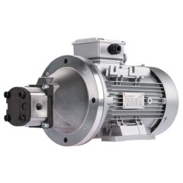 Dešinės pusės krumpliaratis hidraulinis siurblys 6L + 3 fazių elektros variklis IE3 400V 3kW 24MPa