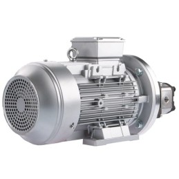 Dešinės pusės krumpliaratis hidraulinis siurblys 6L + 3 fazių elektros variklis IE3 400V 3kW 24MPa