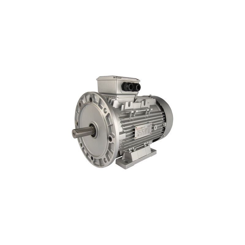 Trifazis 400 V IE3 elektros variklis, tipas B35 G132S, galia: 5,5 kW, apsukos: 1460 aps./min., velenas: 38 mm, su flanšu skambuč