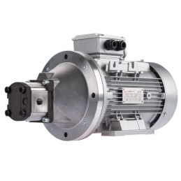 Dešinės pusės krumpliaratis hidraulinis siurblys 12L + 3 fazių elektros variklis IE3 400V 4kW 19MPa