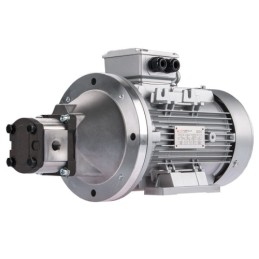 Dešinės pusės krumpliaratis hidraulinis siurblys 15L + 3 fazių elektros variklis IE3 400V 4kW 15MPa