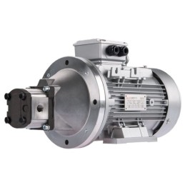 Dešinės pusės krumpliaratis hidraulinis siurblys 18L + 3 fazių elektros variklis IE3 400V 7.5kW 23MPa