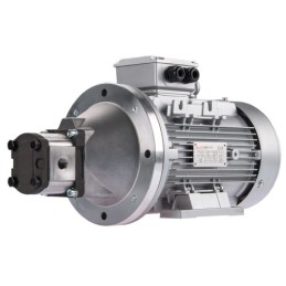 Dešinės pusės krumpliaratis hidraulinis siurblys 39L + 3 fazių elektros variklis IE3 400V 7,5kW 11MPa