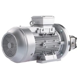 Dešinės pusės krumpliaratis hidraulinis siurblys 39L + 3 fazių elektros variklis IE3 400V 7,5kW 11MPa