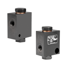 Bizon RP-001 kombaino srauto reguliatorius 25L/min 250bar