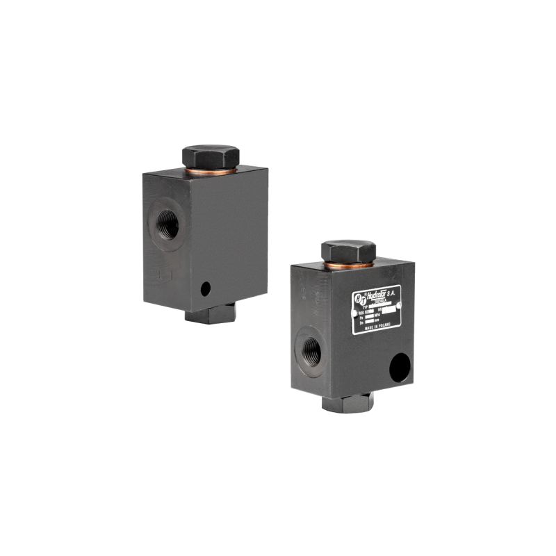 Bizon RP-001 kombaino srauto reguliatorius 25L/min 250bar