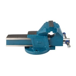 Fiksuoti ketaus spaustuvai SIMS-100 SCHMITH