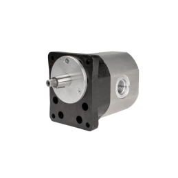 Bizon hidraulinis siurblys seno tipo