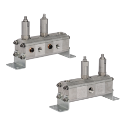 Tikslus transmisinės alyvos srauto daliklis GR10 2x1,2cm3 1xIN - 2xOUT su išlyginamaisiais vožtuvais. Įleidžiamos alyvos srauto 