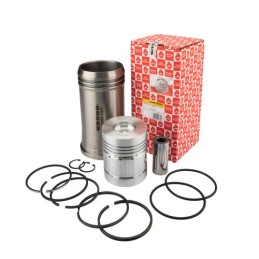 Variklio remonto komplektas originalus Ursus C-360 55110018 950116