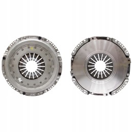 Vienpakopė sankaba 310tbfr liukas