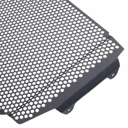 Radiatoriaus grotelės 00 xsr900 2021 m