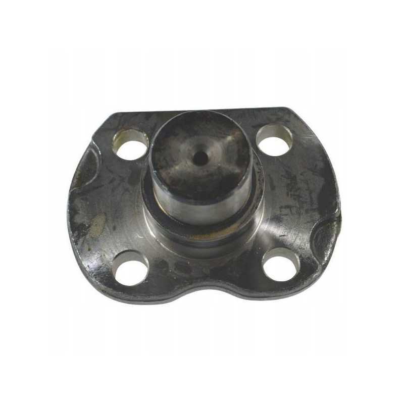 Ci128904 karališkasis kaištis