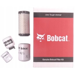 Filtrų rinkinys 7403939 Bobcat 319