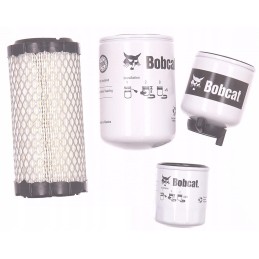Filtrų rinkinys 7403939 Bobcat 319