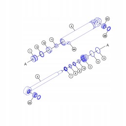 Kačių antspaudų rinkinys 2310898 1734015