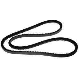 Trapeciniai kačių vikšriniai ekskavatorių varikliai