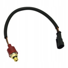 Slėgio jungiklis 60712045 granitas