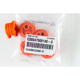 Kuro vamzdžio sandariklis lombardini ldw focs